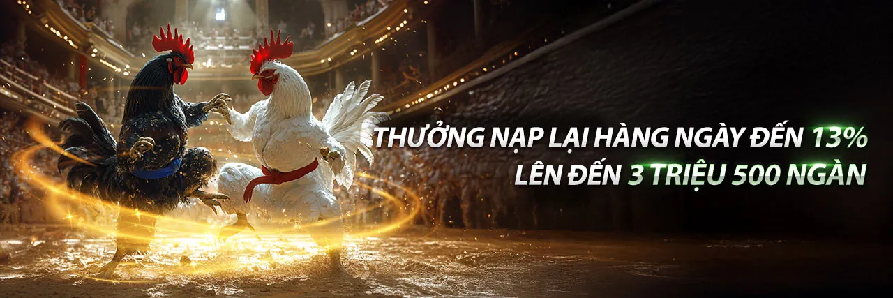 Sân đá gà trực tuyến 999ok web